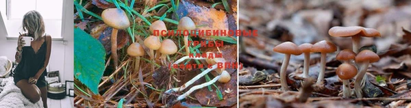 наркотики Семилуки