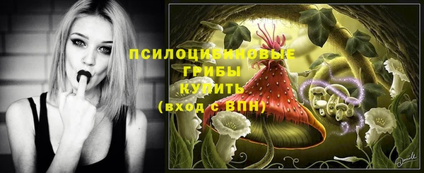 прущие грибы Костерёво