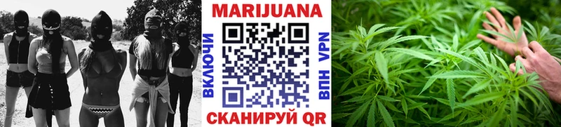 Бошки марихуана VHQ  Цивильск 